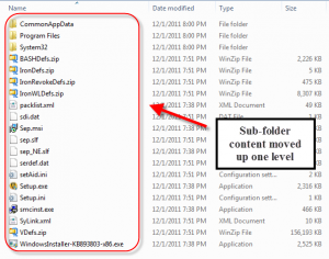 Sub-folder Cleanup