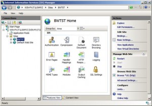 IIS Manager