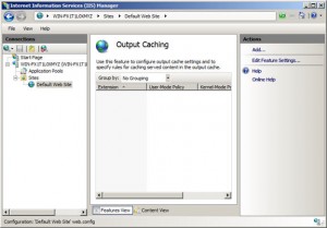 Output Caching