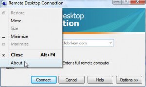 Remote Desktop Connection Properties