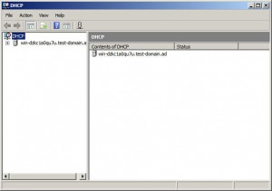 DFCP Server
