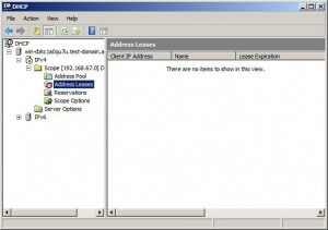 Address Leases
