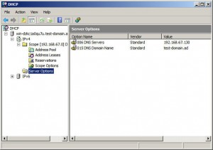 DNS Server Configuration