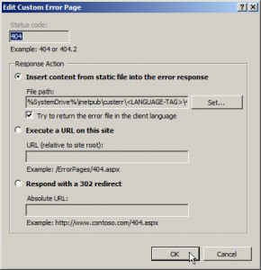 Edit Custom Error Page