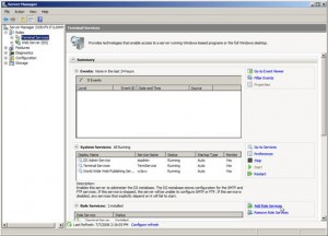 Add Role Services