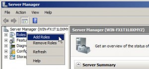 Add Roles