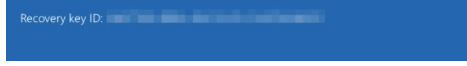 This image has an empty alt attribute; its file name is recovery-Key.png