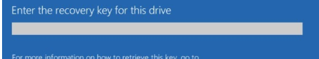 This image has an empty alt attribute; its file name is recovery-key-entered.png