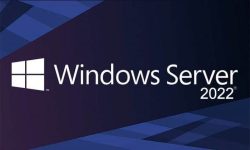 Windows Server 2022 logo